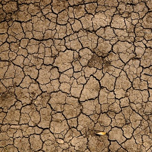 drought dry ground